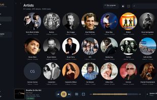 Music library view
