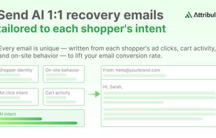 send ai 1:1 recovery emails