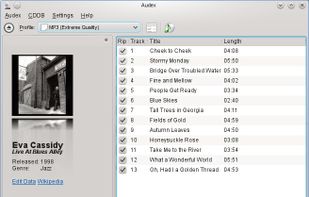 Audex screenshot 1