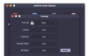 AudFree Audio Capture for Windows screenshot 2