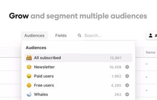 Segment your email list into multiple audiences with tags, custom fields and more