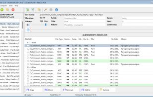 Main window with duplicate groups