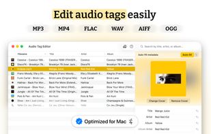 Audio Tag Editor App screenshot 1