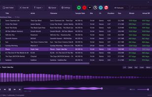 AudioAuditor screenshot 1