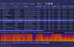 AudioAuditor screenshot 1