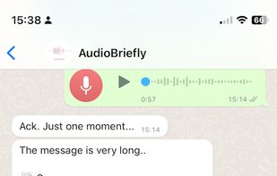 AudioBriefly screenshot 1
