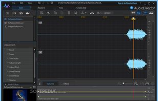 AudioDirector screenshot 1
