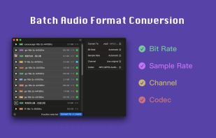 Audioer screenshot 1