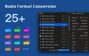Audioer screenshot 1