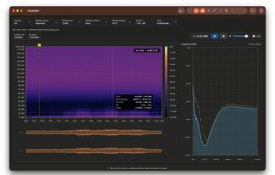 Visualizer with spectrogram, waveform, and frequency profile for detailed audio inspection.