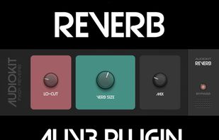 AudioKit Reverb screenshot 1