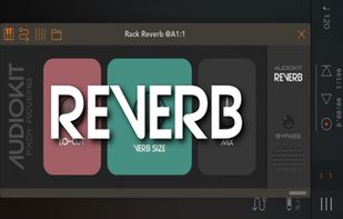 AudioKit Reverb screenshot 3