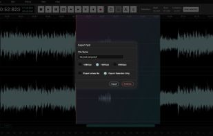 AudioMass screenshot 3