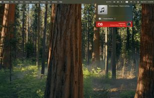 Audioscrobbler screenshot 2