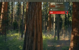Audioscrobbler screenshot 1