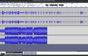 AudMonkey screenshot 1