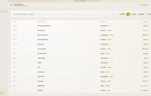 Every transaction entered manually and auto-categorized into Needs, Wants, or Savings — full control, no bank sync required.