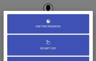 Authelia screenshot 2