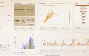 Premium Insights dashboard where you can see deeper analytics on your writing habit