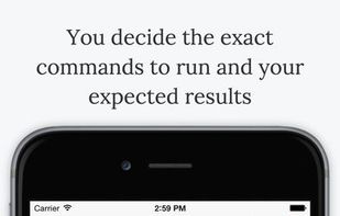 Auto/Shell screenshot 1
