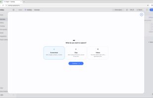 Preset creation wizard, showing types of capture
