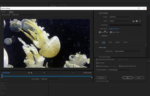 Autokroma Influx screenshot 2