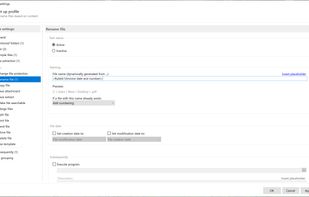 Profile settings - use extracted data for the file name