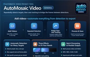 AutoMosaic Video screenshot 1