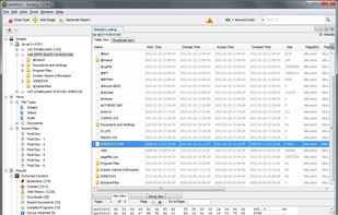 Autopsy Forensic Browser screenshot 1