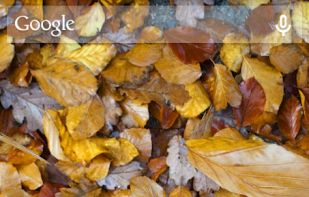 Autumn Leaves 3D Live Wallpaper screenshot 2