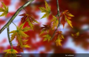 Autumn Leaves in HD Gyro 3D screenshot 2
