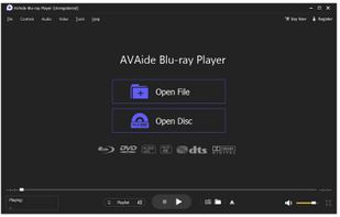 AVAide Blu-ray Player screenshot 1