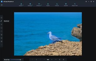 AVCLabs PhotoPro AI screenshot 1