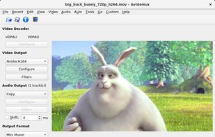 Avidemux screenshot 1
