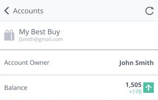 Accounts details (mobile app version)