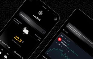 AyeSoul screenshot 1