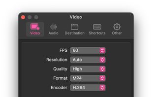 Azayaka's settings, video tab selected