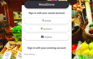 Azure Active Directory B2C screenshot 1