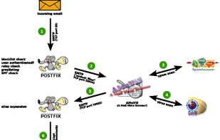 Main components and working process