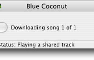 Blue Coconut screenshot 1