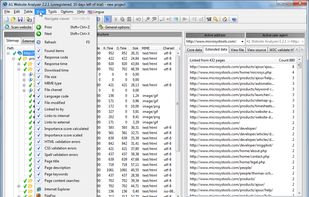 A1 Website Analyzer screenshot 3