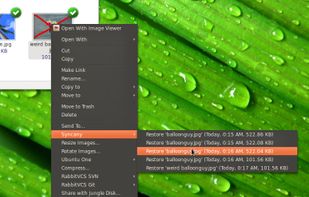 File Manager Integration: Restoring accidentally changed or deleted files from the remote storage is integrated in the file manager.