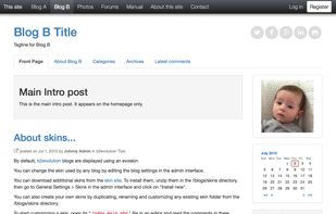 b2evolution screenshot 1