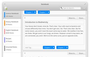 footnote screenshot 1