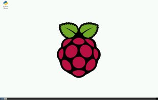 Raspberry Pi OS screenshot 1