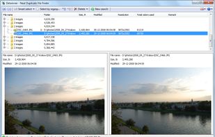 Detwinner screenshot 1