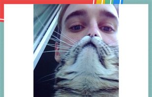 Squarify screenshot 1