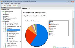 MoneyManager Ex screenshot 2