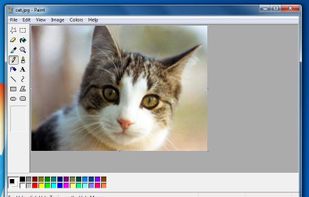 Paint XP for Windows 7 screenshot 1