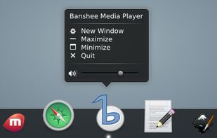 Banshee Application Controls
